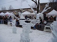 059 Plymouth Ice Show [2008 Jan 26]